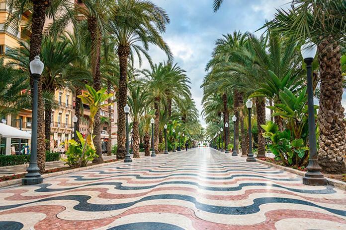 Centrico Y Espacioso Piso En Barrio Tranquilo Alicante Eksteriør bilde